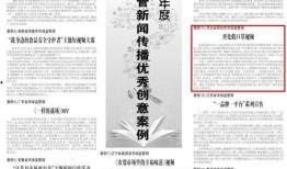 快餐新闻爆料案例范文,揭秘网络舆论场中的真相与偏见