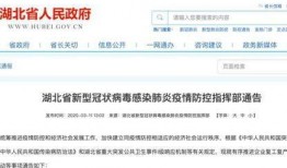 湖北网友爆料新闻报道内容,惊现罕见奇观，引发网友热议！