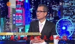 凤凰卫视新闻爆料电话,揭秘新闻爆料电话背后的真相