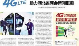 湖北网友爆料新闻报道内容,惊现罕见奇观，引发网友热议！
