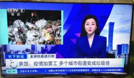 平安爆料董小姐视频播放,揭秘事件背后真相