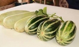 娱乐网红热点吃瓜,娱乐圈幕后真相曝光