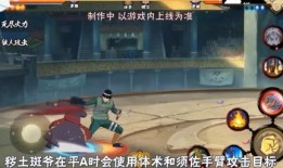 忍者全技能爆料大全最新,最新爆料大全深度解析