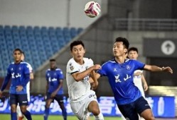 新军最新爆料新闻视频,最新爆料新闻视频深度解析