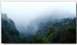 山野在线观看,探寻自然之美，在线共赏绝美风光