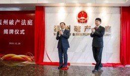 温州领导爆料新闻事件,揭开新闻事件背后真相