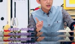 李维嘉央视爆料了吗视频