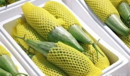 一个吃网红瓜的网站叫啥,带你走进娱乐圈的幕后风云