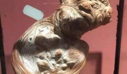 新闻爆料崖柏有毒,揭秘其潜在危害与安全使用指南