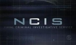 ncis在线观看,神秘探案，在线观看，揭秘真相之旅