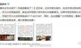 文安何小姐最新爆料新闻,揭秘事件背后真相