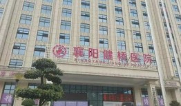 襄阳医院最新爆料,揭秘医疗行业背后真相