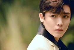 谢怜爆料鹿晗视频大全集,视频大全集深度解析