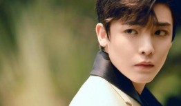 谢怜爆料鹿晗视频大全集,视频大全集深度解析