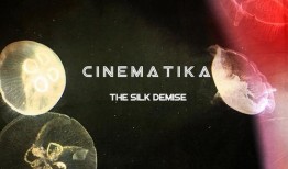 silk在线观看,在线领略丝绸之路的壮丽画卷
