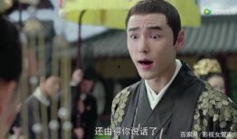 扶摇在线观看观看,穿越时空的传奇之旅