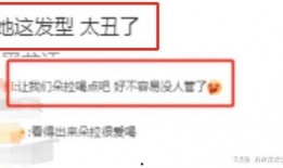 冰岛爆料最新视频播放下载,最新视频播放下载，揭秘神秘事件真相
