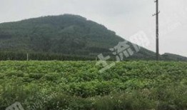 广西土地爆料最新消息今天,最新爆料揭示土地市场新动向”