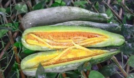 娱乐网红热点吃瓜,娱乐圈幕后真相曝光