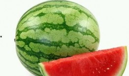 邯郸在线观看吃瓜免费,免费吃瓜盛宴，畅享网络娱乐新体验！