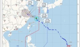 巴西规划爆料最新消息,最新动态揭示未来蓝图
